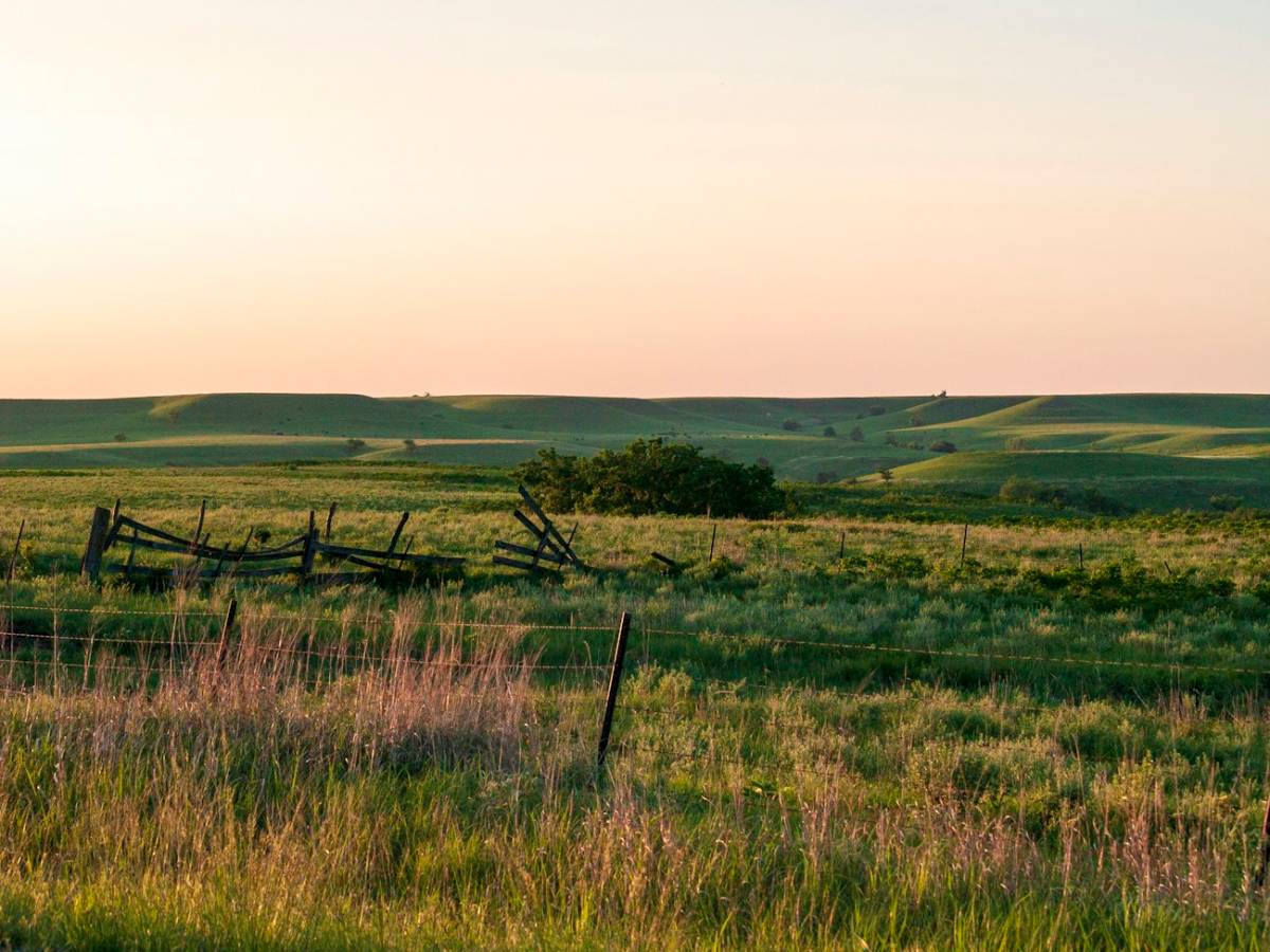 Evening light over open prairie rangeland and an old fence line